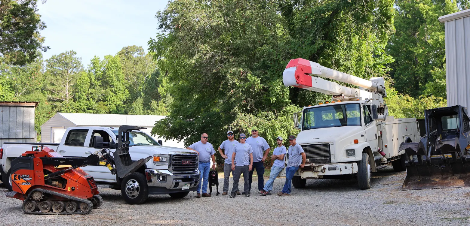 Tree Service Hixson TN